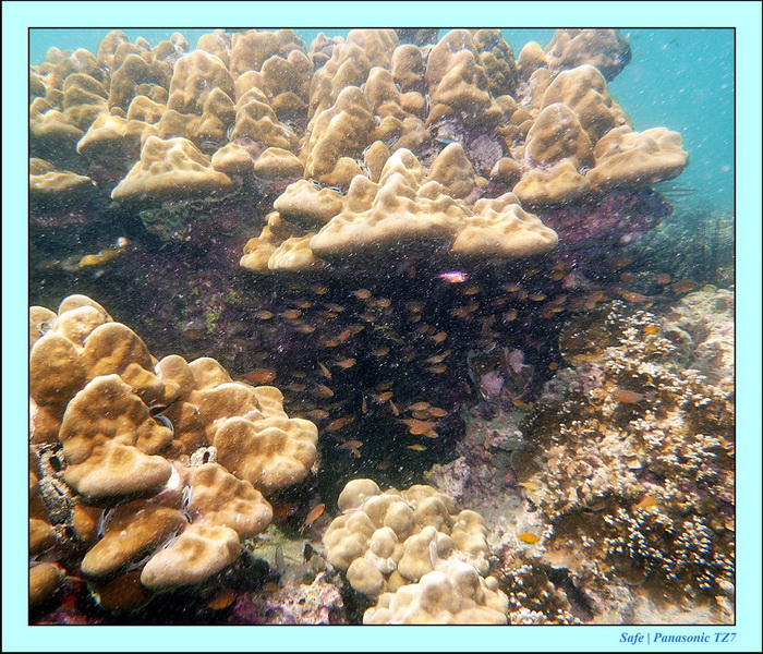 2012 - 03 - Koh Kradan 16